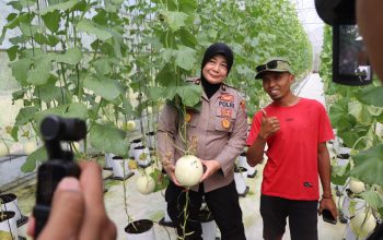 Polres Sumenep Dukung Smart Farming Melon di Manding 7 Polres Sumenep Dukung Smart Farming Melon di Manding