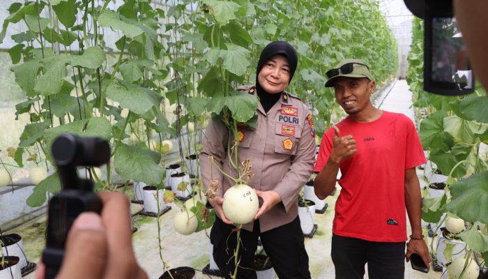 Polres Sumenep Dukung Smart Farming Melon di Manding