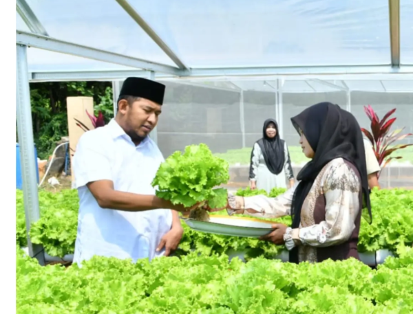 Bupati Achmad Fauzi Dorong Pertanian Modern, Kebun Hidroponik IRA Farm Jadi Contoh Ketahanan Pangan Berbasis Inovasi