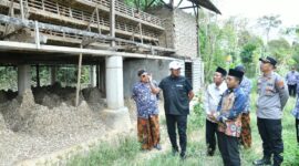 Bupati Sumenep saat melihat kandang ayam di Kecamatan Ganding