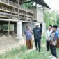 Bupati Sumenep saat melihat kandang ayam di Kecamatan Ganding