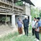 Bupati Sumenep saat melihat kandang ayam di Kecamatan Ganding