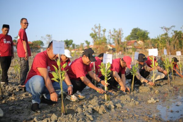 JMSI Sumenep Tanam 1.500 Mangrove, Tegaskan Pers Tak Hanya Menulis tapi Ikut Menjaga Pesisir