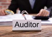 Kritik Konstruktif terhadap Kemandirian Auditor: Pemahaman yang Diperlukan