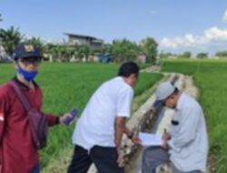 Berita Foto: Tahap Penyelesaian Pekerjaan Irigasi P3-TGAI di Sumenep