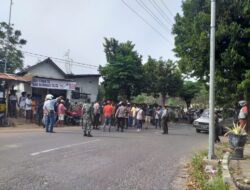 Penutupan Pasar Hewan Membuat Pedagang Sapi di Sumenep Putar Balik