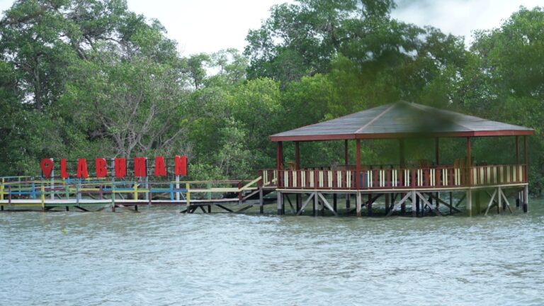 Mengubah Desa Menjadi Wisata, PHE WMO Perbaiki Kondisi Terumbu Karang