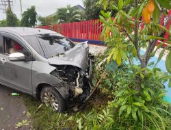 Pengemudi Kurang Konsentrasi, Ertiga Seruduk Pohon