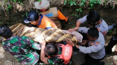 Korban yang Melarikan Diri ke Sungai Ditemukan Warga Dalam Keadaan Tak Bernyawa
