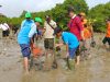 Hari Gerakan Sejuta Pohon KPMM Peringati Dengan Tanam 500 Bibit Mangrove