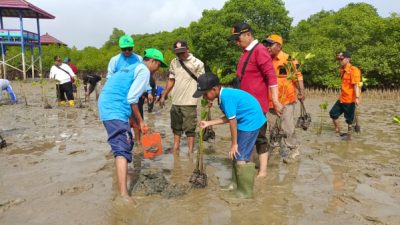 Hari Gerakan Sejuta Pohon KPMM Peringati Dengan Tanam 500 Bibit Mangrove