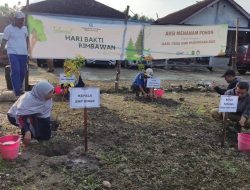Terjun Ke Desa Juluk, Siswa SMP Binar Sumenep Tanam Bibit Pohon