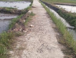 Belum Genap Setahun, Rabat Beton Mataram Mulai Mengalami Kerusakan