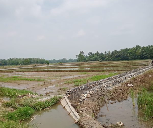 Irigasi "Tak Bertuan" Nongkrong di Karyadadi