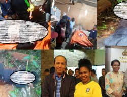 Kebrutalan KST Terulang: Bunuh Secara Biadab Michelle Kurisi Doga Cucu Kepala Suku Silo