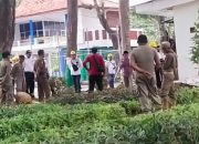 Dilema Penertiban Meteran Listrik Rumah Tangga Nempel di PJU Pemkab, PLN Gagal Eksekusi