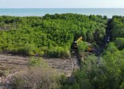 DLH Pamekasan Sebut Pengrusakan Mangrove di Tlanakan Melanggar, Pokmaswas Ambat Segera Laporkan ke APH