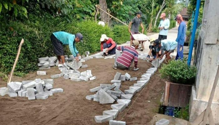 Pemerintah Desa Ngulanwetan Kerjakan Insfratruktur Pavingisasi Jalan Minngu Lalu