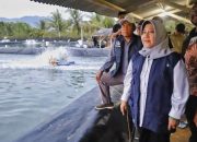 Pjs Bupati Trenggalek Tinjau Tambak Udang di Kecamatan Munjungan