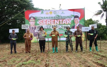 Bupati Sumenep Dukung Penuh Program Asta Cita Presiden RI, dengan Menanam Jagung Bersama Forkopimda