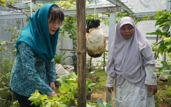 Ketua TP PKK Kabupaten Trenggalek Bagikan Bibit Buah dan Sayur di Dua Desa