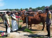 Jelang Idul Adha, Disperta KP Sampang Himbau Warga Selektif Memilih Sapi Kurban 4 Jelang Idul Adha, Disperta KP Sampang Himbau Warga Selektif Memilih Sapi Kurban