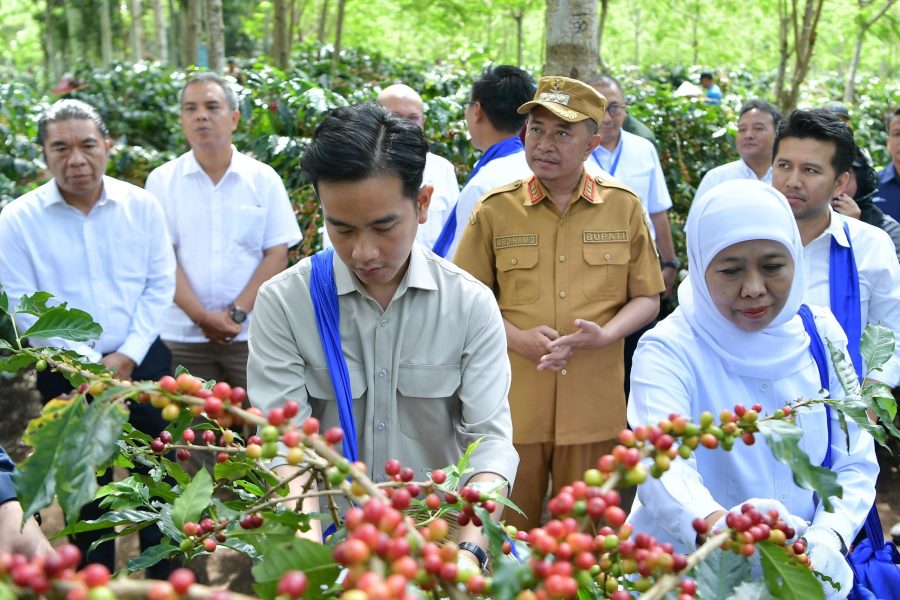 PTPN I Dukung Kebangkitan Kopi Nasional, Dorong Ekspansi dan Hilirisasi dari Lereng Ijen