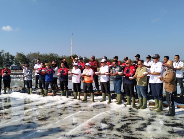 PT Garam Lakukan Panen Raya di Desa Sindir Sumenep, Dirut: Swasembada Garam untuk Indonesia Mandiri