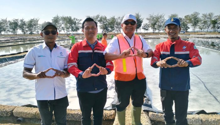 PT Garam Lakukan Panen Raya di Desa Sindir Sumenep, Dirut: Swasembada Garam untuk Indonesia Mandiri