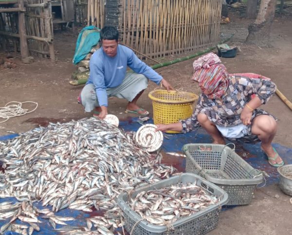 Nestapa Nelayan Pulau Masalembu Sumenep Saat Hasil Tangkapan Melimpah