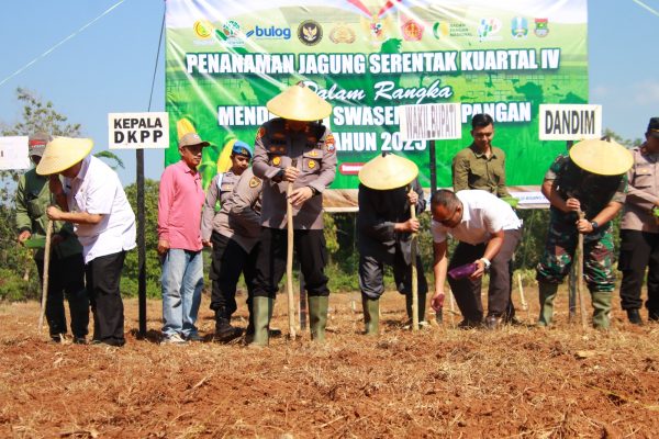 Kapolres Sumenep bersama Forpimda Tanam Jagung Serentak Kuartal IV Dukung Swasembada Pangan 2025