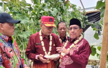 Kerja Keras DKPP Sumenep Bangkitkan Harapan Petani, Wabup KH. Imam Hasyim Beri Apresiasi 3 Kerja Keras DKPP Sumenep Bangkitkan Harapan Petani, Wabup KH. Imam Hasyim Beri Apresiasi