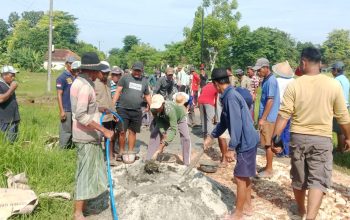 Merasa Diabaikan Pemerintah, Warga Kecamatan Gayam Pulau Sapudi Gotong Royong Perbaiki Jalan
