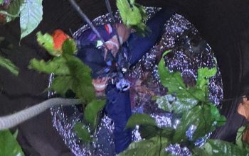 Tim Damkar Evakuasi Perempuan di Bondowoso Yang Jatuh dan Meninggal Dalam Sumur