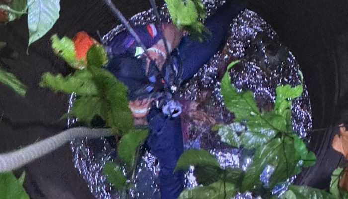 Tim Damkar Evakuasi Perempuan di Bondowoso Yang Jatuh dan Meninggal Dalam Sumur