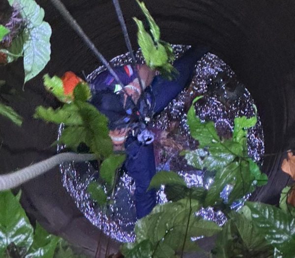 Tim Damkar Evakuasi Perempuan di Bondowoso Yang Jatuh dan Meninggal Dalam Sumur