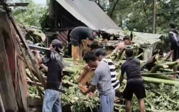 Rumah Warga Pagerungan Kecil Tertimpa Pohon Besar, Syamsul Bahri Minta Pemda Segera Turun Tangan