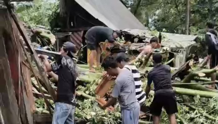 Rumah Warga Pagerungan Kecil Tertimpa Pohon Besar, Syamsul Bahri Minta Pemda Segera Turun Tangan