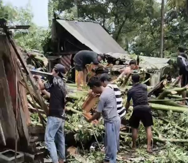 Rumah Warga Pagerungan Kecil Tertimpa Pohon Besar, Syamsul Bahri Minta Pemda Segera Turun Tangan