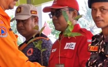 Banser Bondowoso Apresiasi Cegah Bencana Dengan Penghijauan 2000 Pohon 4 Banser Bondowoso Apresiasi Cegah Bencana Dengan Penghijauan 2000 Pohon