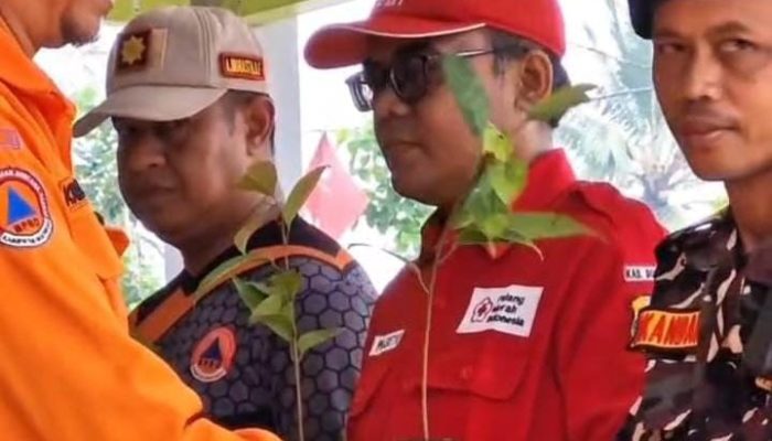 Banser Bondowoso Apresiasi Cegah Bencana Dengan Penghijauan 2000 Pohon