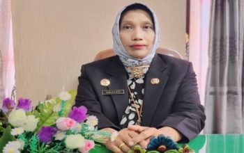 Akreditasi Paripurna & Naik Tipe B, RSUD dr. Moh. Anwar Kunci Transformasi Digital Layanan Kesehatan Madura
