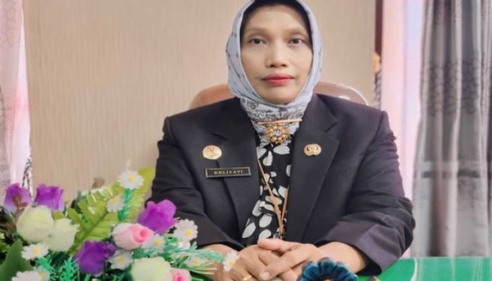 Akreditasi Paripurna & Naik Tipe B, RSUD dr. Moh. Anwar Kunci Transformasi Digital Layanan Kesehatan Madura