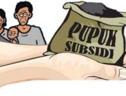 Kasus Pupuk Bersubsidi di Sumenep, Dua Terdakwa Dituntut 1 Tahun Hukuman