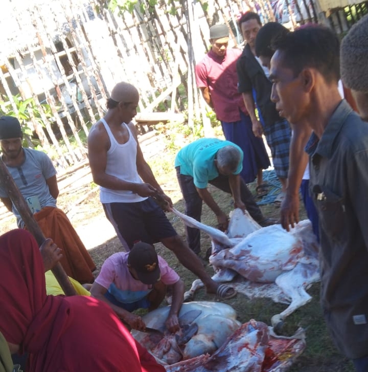 Yayasan Babussalam bersama IKABAS Tanjung Kiaok, Potong 3 Ekor Sapi dan 6 Ekor Kambing untuk Kurban