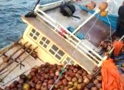 Viral, Video KLM Bermuatan Buah Kelapa Karam di Tengah Laut