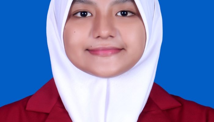 Transformasi Pengauditan: Optimasi Praktik dan Tantangan Sistem PDE dalam Menanggulangi Isu Keuangan