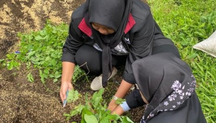 Menjunjung Kesehatan dan Kebersamaan Bersama PMM Bhaktiku Negeri Universitas Muhammadiyah Malang