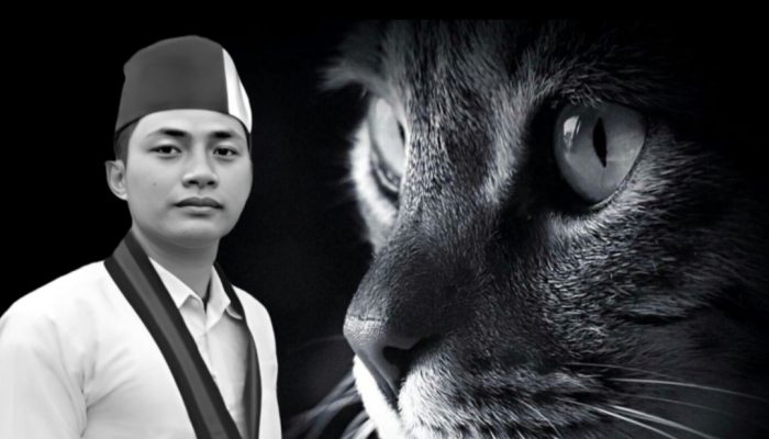 Kontribusi HMI Terhadap Gerakan Reformasi Nasional