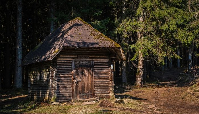 Sajak ‘Rumah Tanpa Tumbuh Pepohonan’ Masuk Dalam Buku Antologi Puisi Internasional Indonesia-India